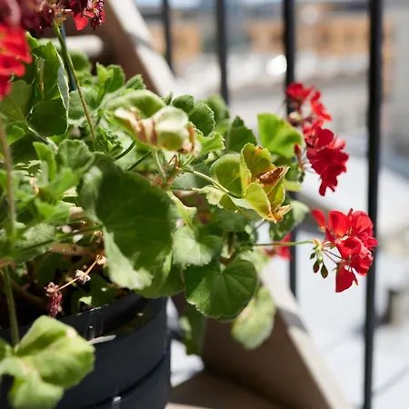 White Door Lägenhet