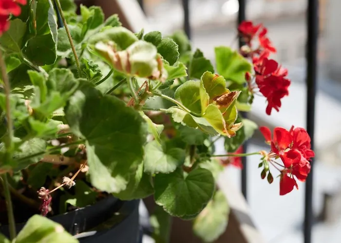 White Door Апартаменты